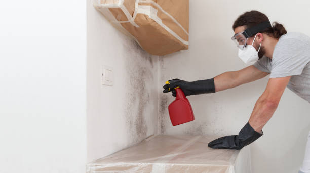 Professional Bathroom Mold Removal technician working in Skippack, PA